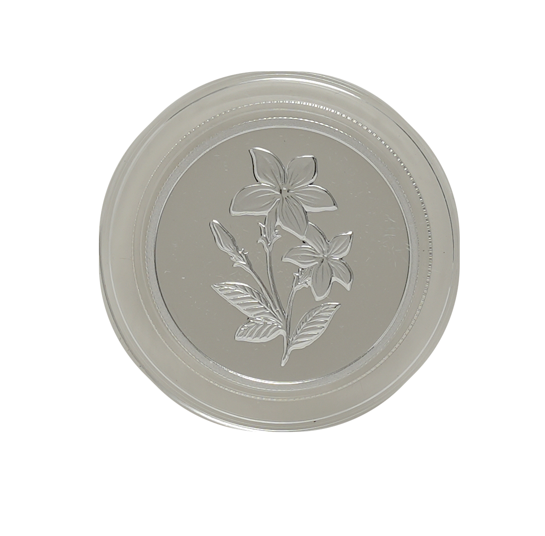 Emirates Minting 20g Fine Silver Coin